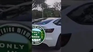 Tesla driver behaving badly? #tesla