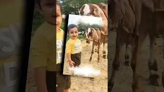 indian cowmata baby#merigaiyaaatihai #hindicartoons #cowsong #hindirhymes #gaiyamerigaiya