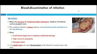 Infectious diseases 1.