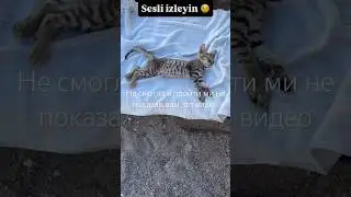 I couldn't pass up showing you this video 