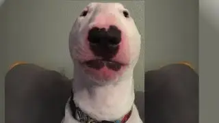 serious video
