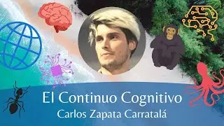 [ESP] The Cognitive Continuum | Summer School 2020