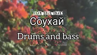 SHIT SHIT SHIT - СОУХАЙ DRUMS AND BASS
