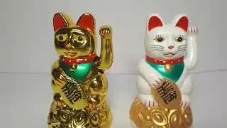 Кот Манэки Нэко 1