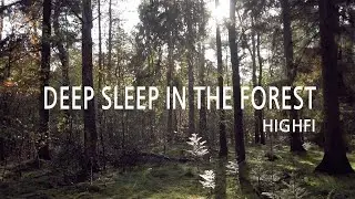 수면제를 먹은 듯 잠이 오는 음악 / 새소리 / 수면음악 / sleeping music /50분 연속재생 / 작곡가 안톤