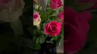 Цветы от мужа 🌹
