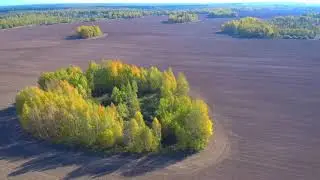 Осень в Каликино