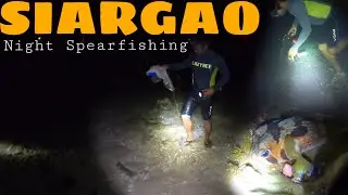 Siargao | Spearfishing