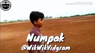 Numpak(RxKing)*52-1000*Subcriber*