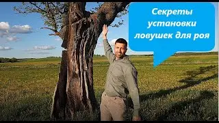 Ловушка для пчел. Как установить ловушку для пчёл. Как словить рой пчел. Выбираем место для ловушки.