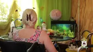 Мошенническая группа в мессенджере "Сундучок вкусняшек"