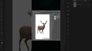 Transform Any Object into a Shape in Photoshop  #photoshoptutorial