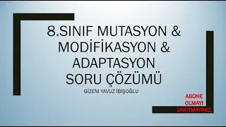 8.SINIF MUTASYON & MODİFİKASYON &  ADAPTASYON SORULARI