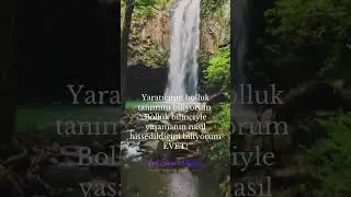 BOLLUK BEREKET HİS YÜKLEMELERİ #shorts