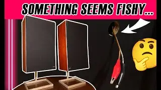 The Bang & Olufsen Beovox S75: Be Careful With Vintage Speakers From Estate Sales
