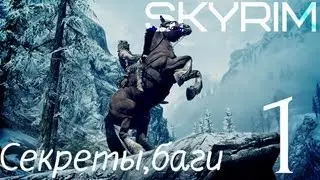 Баги и секреты Skyrim[part 1]