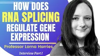 How Does RNA Splicing Regulate Gene Expression | Prof Lorna Harries Ep 1