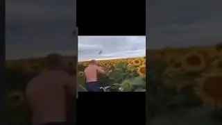 Sunflower vs. Nefor. 