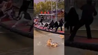 GAME UJI NYALI DI TERKAM HARIMAU