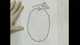 jackfruit drawing easy / how to draw a jackfruit