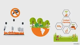 Carbon Farming with EMPYRE