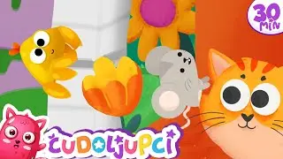 DJEČJE HIT PJESME Mix ♫ *Jedan Mali Pauk* i mnoge druge 🎈 Vrtićke pjesmice 🤩 Čudoljupci