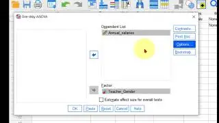 Welch Test for Equality of Means in SPSS