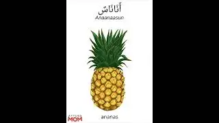 1) Alif - Arab tilini o’rganamiz