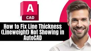 How to Fix Line Thickness Lineweight Not Showing in AutoCAD
