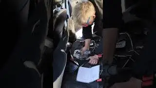 Люк для бензонасоса Ford focus 3