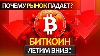 БИТКОИН - почему падаем? BTC ETF всех обманули! Куда еще может продолжится падение? Рынок труда.