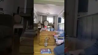 cool bottle flip/ping pong shot