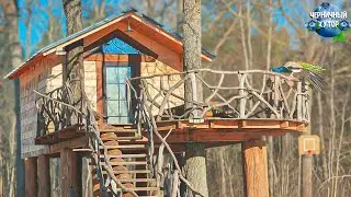 Family life in a forest house with happy animals.