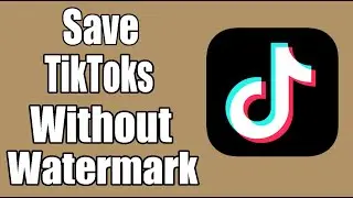 How Do I Save TikToks To Camera Roll Without Watermark?