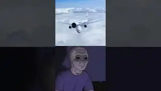 The crash of MH17 