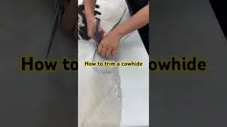How to trim a cowhide rug 