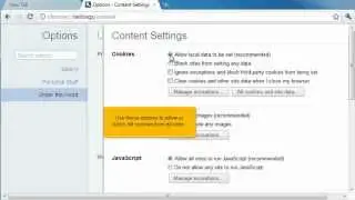 Google Chrome - How to manage cookies in Google Chrome
