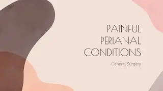 Painful Perianal Conditions | Haemorrhoids, Anal Fissure & Anal Fistula