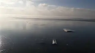 Таганрог 08 01 2023