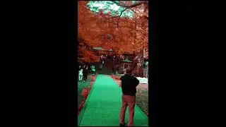 紅葉大爆誕！佐賀の中央部の奧山の大興善寺　改訂版