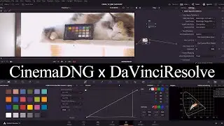Exposure compensation for cinemaDNG in DaVinciResolve | 12bit 8bit comparison | SIGMA fp