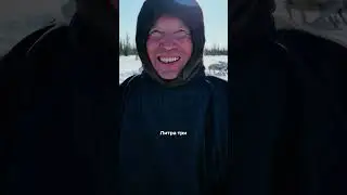 Сколько оленеводы выпивают крови?