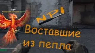 NPI Воставшие из пепла