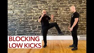 Low Kick Defences