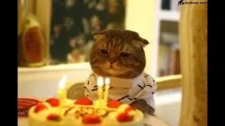 [EN UA RU] Birthday podcast