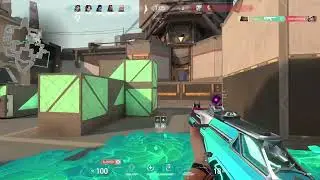 clean