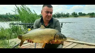 Отличная Рыбалка с Ночёвкой Карп Амур в Копилке!