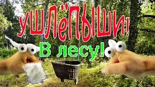 Ушлёпыши в лесу!