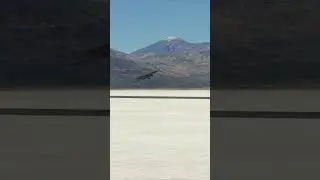 Dark Wing duck landing