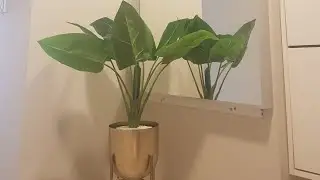 westside homes #Planter and artificial plant